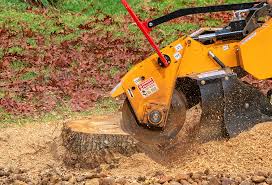 Best Pest Control for Lawns  in , NM